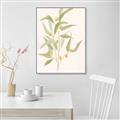 Picture of Botanical Strand I _GroupedProduct_Rectangle_Portrait_Canvas_Framed_