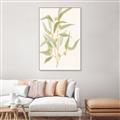 Picture of Botanical Strand I _GroupedProduct_Rectangle_Portrait_Canvas_Framed_