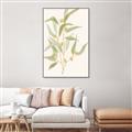 Picture of Botanical Strand I _GroupedProduct_Rectangle_Portrait_Canvas_Framed_
