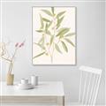 Picture of Botanical Strand II _GroupedProduct_Rectangle_Portrait_Canvas_Framed_