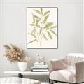 Picture of Botanical Strand II _GroupedProduct_Rectangle_Portrait_Canvas_Framed_