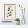 Picture of Swaying Foliage III _GroupedProduct_Rectangle_Portrait_Canvas_Framed_