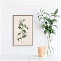 Picture of Swaying Foliage III _GroupedProduct_Rectangle_Portrait_Canvas_Framed_