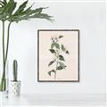 Picture of Swaying Foliage III _GroupedProduct_Rectangle_Portrait_Canvas_Framed_