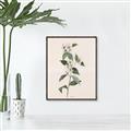 Picture of Swaying Foliage III _GroupedProduct_Rectangle_Portrait_Canvas_Framed_