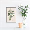 Picture of Swaying Foliage IV _GroupedProduct_Rectangle_Portrait_Canvas_Framed_