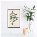 Picture of Swaying Foliage IV _GroupedProduct_Rectangle_Portrait_Canvas_Framed_