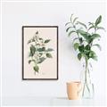 Picture of Swaying Foliage IV _GroupedProduct_Rectangle_Portrait_Canvas_Framed_