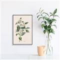 Picture of Swaying Foliage IV _GroupedProduct_Rectangle_Portrait_Canvas_Framed_