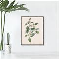 Picture of Swaying Foliage IV _GroupedProduct_Rectangle_Portrait_Canvas_Framed_