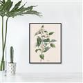 Picture of Swaying Foliage IV _GroupedProduct_Rectangle_Portrait_Canvas_Framed_