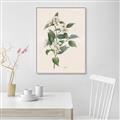 Picture of Swaying Foliage IV _GroupedProduct_Rectangle_Portrait_Canvas_Framed_