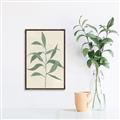 Picture of Swaying Foliage V _GroupedProduct_Rectangle_Portrait_Canvas_Framed_