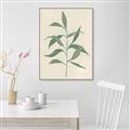 Picture of Swaying Foliage V _GroupedProduct_Rectangle_Portrait_Canvas_Framed_