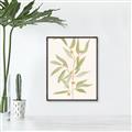 Picture of Botanical Strand III _GroupedProduct_Rectangle_Portrait_Canvas_Framed_