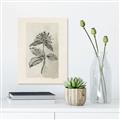 Picture of Vintage Flower II _GroupedProduct_Rectangle_Portrait_Unframed_Print_Only_