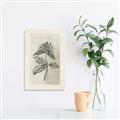 Picture of Vintage Flower II _GroupedProduct_Rectangle_Portrait_Unframed_Print_Only_