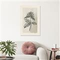 Picture of Vintage Flower II _GroupedProduct_Rectangle_Portrait_Unframed_Print_Only_