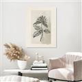 Picture of Vintage Flower II _GroupedProduct_Rectangle_Portrait_Unframed_Print_Only_
