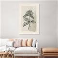 Picture of Vintage Flower II _GroupedProduct_Rectangle_Portrait_Unframed_Print_Only_