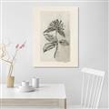 Picture of Vintage Flower II _GroupedProduct_Rectangle_Portrait_Unframed_Print_Only_