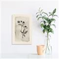 Picture of Vintage Flower IV _GroupedProduct_Rectangle_Portrait_Unframed_Print_Only_