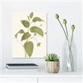 Picture of Leaf Mirage I _GroupedProduct_Rectangle_Portrait_Unframed_Print_Only_
