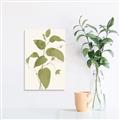 Picture of Leaf Mirage I _GroupedProduct_Rectangle_Portrait_Unframed_Print_Only_