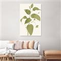 Picture of Leaf Mirage I _GroupedProduct_Rectangle_Portrait_Unframed_Print_Only_