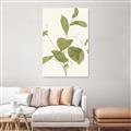 Picture of Leaf Mirage II _GroupedProduct_Rectangle_Portrait_Unframed_Print_Only_