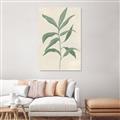 Picture of Swaying Foliage II _GroupedProduct_Rectangle_Portrait_Unframed_Print_Only_