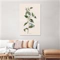 Picture of Swaying Foliage III _GroupedProduct_Rectangle_Portrait_Unframed_Print_Only_