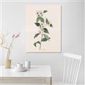 Picture of Swaying Foliage III _GroupedProduct_Rectangle_Portrait_Unframed_Print_Only_