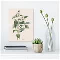 Picture of Swaying Foliage IV _GroupedProduct_Rectangle_Portrait_Unframed_Print_Only_