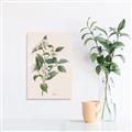 Picture of Swaying Foliage IV _GroupedProduct_Rectangle_Portrait_Unframed_Print_Only_