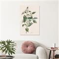Picture of Swaying Foliage IV _GroupedProduct_Rectangle_Portrait_Unframed_Print_Only_