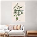 Picture of Swaying Foliage IV _GroupedProduct_Rectangle_Portrait_Unframed_Print_Only_