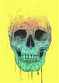 Picture of Street Art Skull _GroupedProduct_Rectangle_Portrait_Unframed_Print_Only_