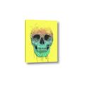 Picture of Street Art Skull _GroupedProduct_Rectangle_Portrait_Canvas_