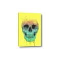 Picture of Street Art Skull _GroupedProduct_Rectangle_Portrait_Canvas_