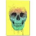Picture of Street Art Skull _GroupedProduct_Rectangle_Portrait_Canvas_