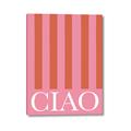 Picture of Ciao Stripes in Pink _GroupedProduct_Rectangle_Portrait_Canvas_