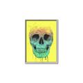 Picture of Street Art Skull _GroupedProduct_Rectangle_Portrait_Canvas_Framed_