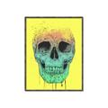 Picture of Street Art Skull _GroupedProduct_Rectangle_Portrait_Canvas_Framed_