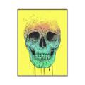 Picture of Street Art Skull _GroupedProduct_Rectangle_Portrait_Canvas_Framed_