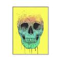 Picture of Street Art Skull _GroupedProduct_Rectangle_Portrait_Canvas_Framed_