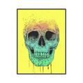 Picture of Street Art Skull _GroupedProduct_Rectangle_Portrait_Canvas_Framed_