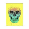 Picture of Street Art Skull _GroupedProduct_Rectangle_Portrait_Canvas_Framed_