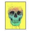 Picture of Street Art Skull _GroupedProduct_Rectangle_Portrait_Canvas_Framed_