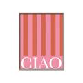 Picture of Ciao Stripes in Pink _GroupedProduct_Rectangle_Portrait_Canvas_Framed_